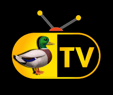 tv duck