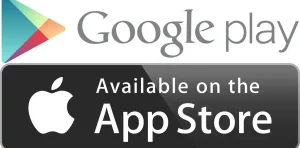 google play store 2