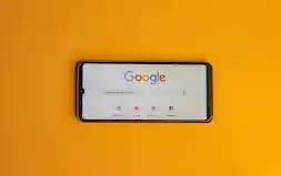 play store google 2